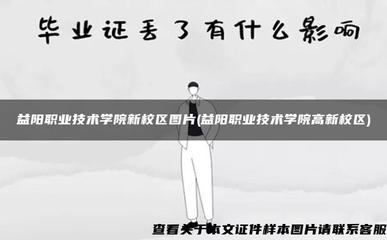 益陽職業(yè)技術學院高新校區(qū) 教育軟件開發(fā)的搖籃與實景畫卷